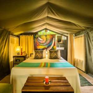 Experience the ultimate glamping experience on a tented safari in Sri Lanka's Udawalawe National Park