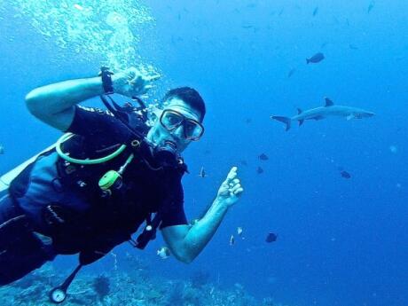 Spotting a reef shark diving at the Komodo National Park