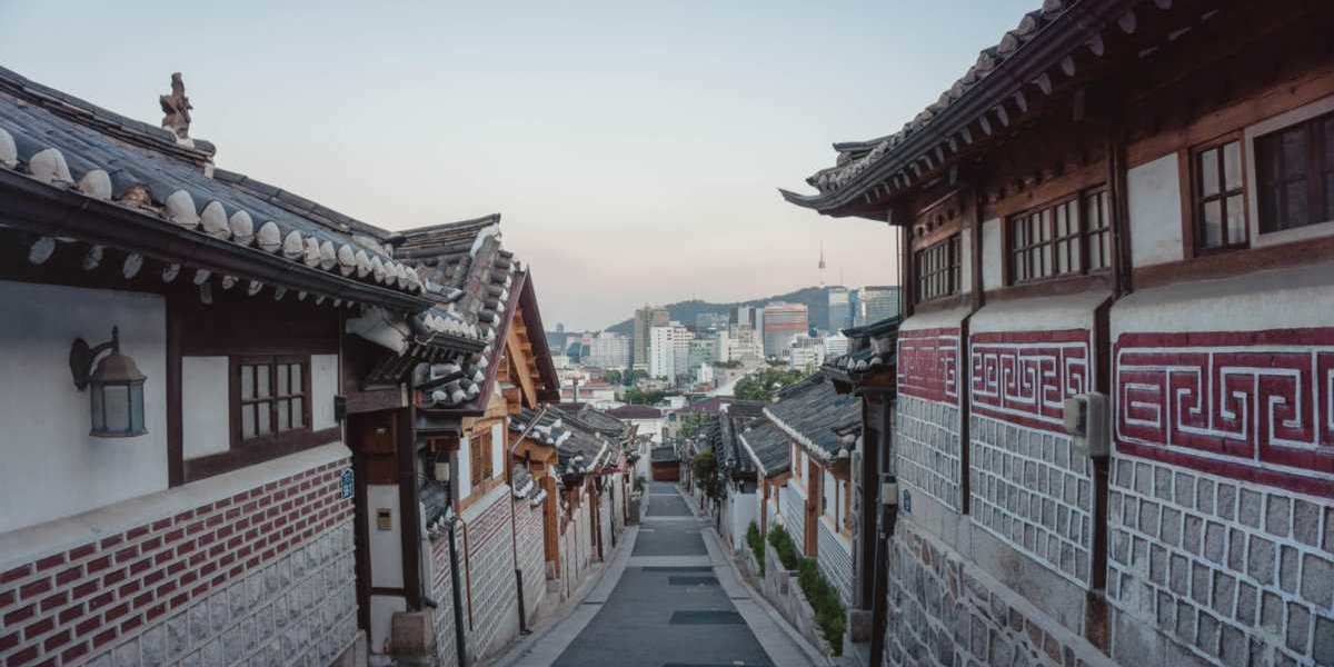 Find out what to do while you're exploring the exciting city of Seoul