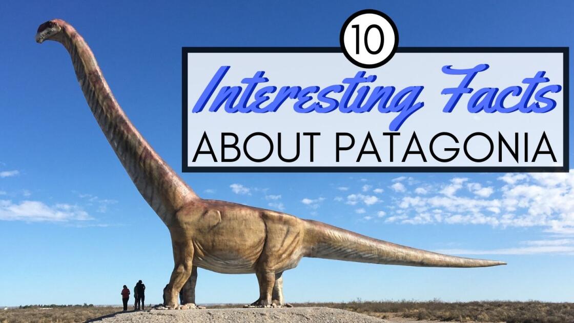 10 interesting facts about Patagonia