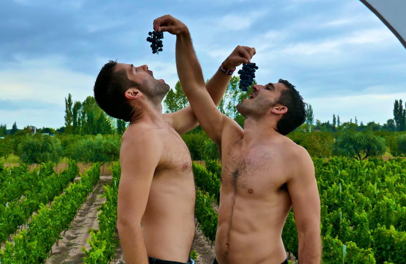 Wine in Mendoza is a highlight of South America.