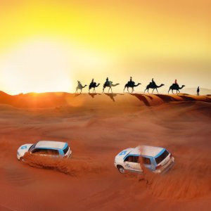 Dune-bashing and camel rides in the desert are a must-do when visiting Dubai.