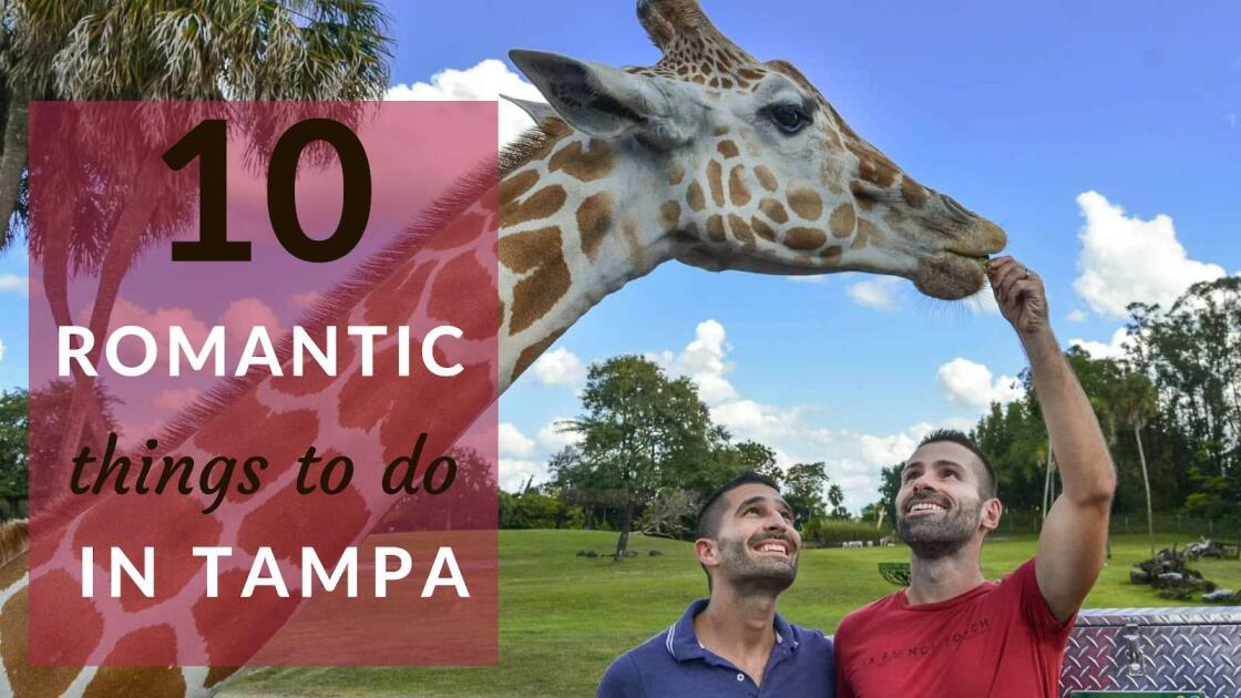 10 romantic and cool things to do for couples in Tampa