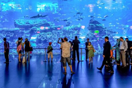 Gay travel to Dubai - Make sure you marvel at the ocean life during a visit to the Dubai aquarium.