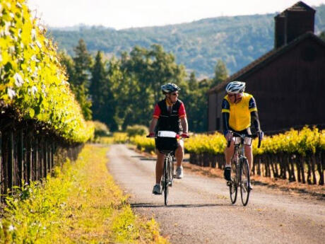 A fun way to explore Mendoza's wineries is to hire a bike and ride to them!