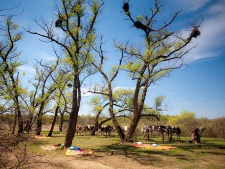 Horse-riding is just one way you can enjoy the area around El Colibri Estancia