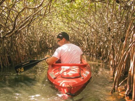 Get out of the city and kayak along the Paraná River during your trip to Rosario.