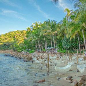 Visit the ultra-romantic and secluded Las Caletas Beach near Puerto Vallarta.