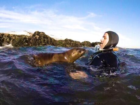 Gay travel in Argentina - if you like sea lions, make sure you visit Puerto Madryn and the Valdes Peninsula