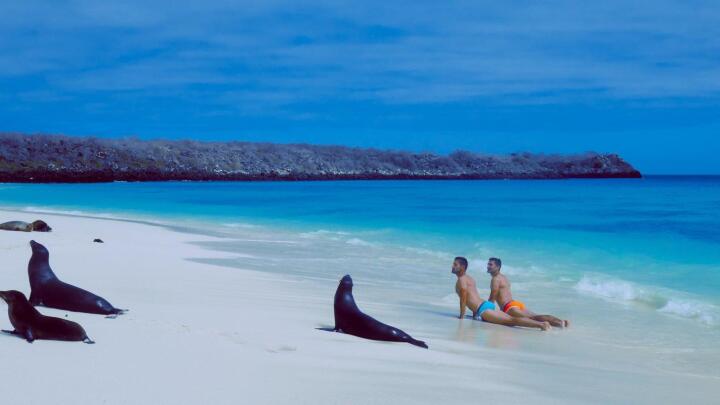 Adventurous gay travellers will love exploring the Galapagos Islands on an exclusive gay cruise