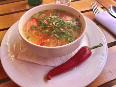 Zeama is a traditional Moldovan type of chicken noodle soup that's known as the ultimate hangover cure!