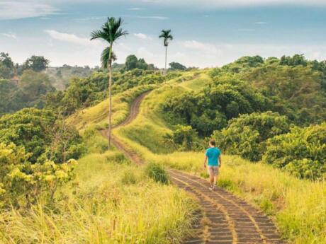 The Campuhan Ridge Walk is an interesting experience and a lovely way to enjoy the Balinese landscape near Ubud