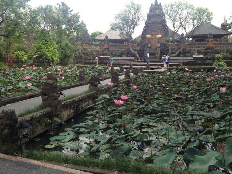 The Pura Taman Saraswati is one of Bali's most beautiful temples and gorgeous for some photos with water lilies