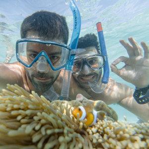 Koh Lipe is a wonderful spot for snorkelling, with so many pretty fish and coral to see