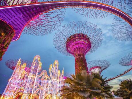 Gardens by the Bay is one of the most beautiful and most popular attractions in Singapore, they're definitely a must-see though!