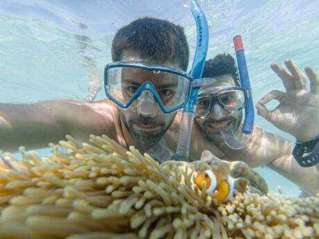 Koh Lipe is a wonderful spot for snorkelling, with so many pretty fish and coral to see