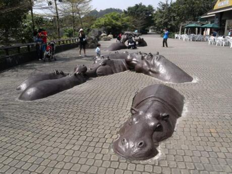 Taipei Zoo is famously home to some pandas from China and has a long history to explore, along with the animals!