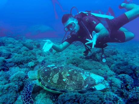 Stefan spotting a super cute turtle during our dive at the Coral Garden reef between Gili T and Meno