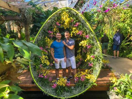 Need some floral backgrounds for your Insta photos? Make sure you visit the stunning Marie Selby Botanical gardens in Sarasota