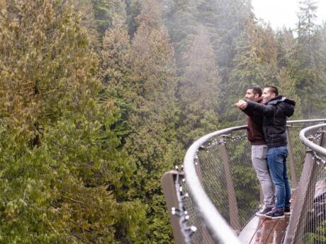 Get out into nature by walking on the suspension bridge at Capilano park near Vancouver