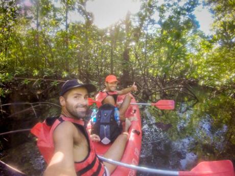 Sarasota has some unique mangrove tunnels which are fascinating to discover while kayaking