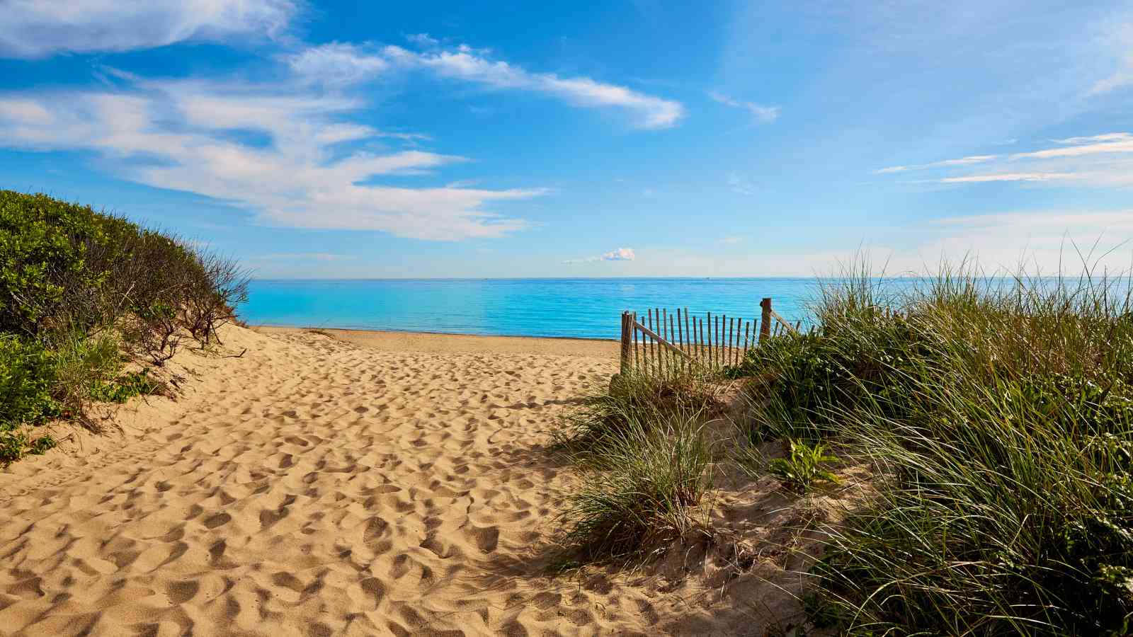 Herring Cove is a gay beach in Provincetown where you can even wear absolutely nothing if you so desire!