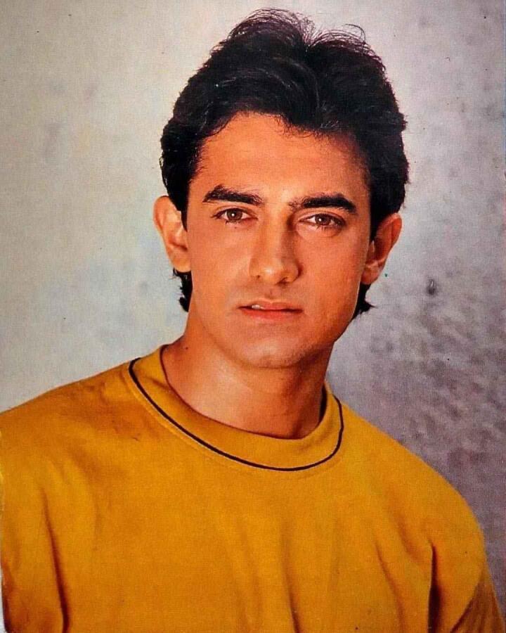 The Bollywood star Aamir Khan was Prince Manvendra's first celebrity crush!