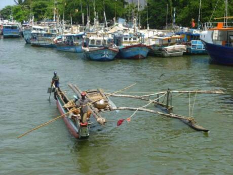 Gay travellers to Negombo will enjoy exploring the local fish markets or even joining a fishing trip