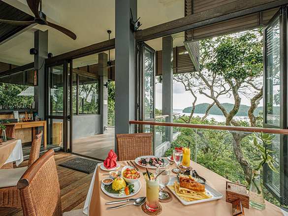 A table of food at Rimba Restaurant in Langkawi with a view out the window of treetops.