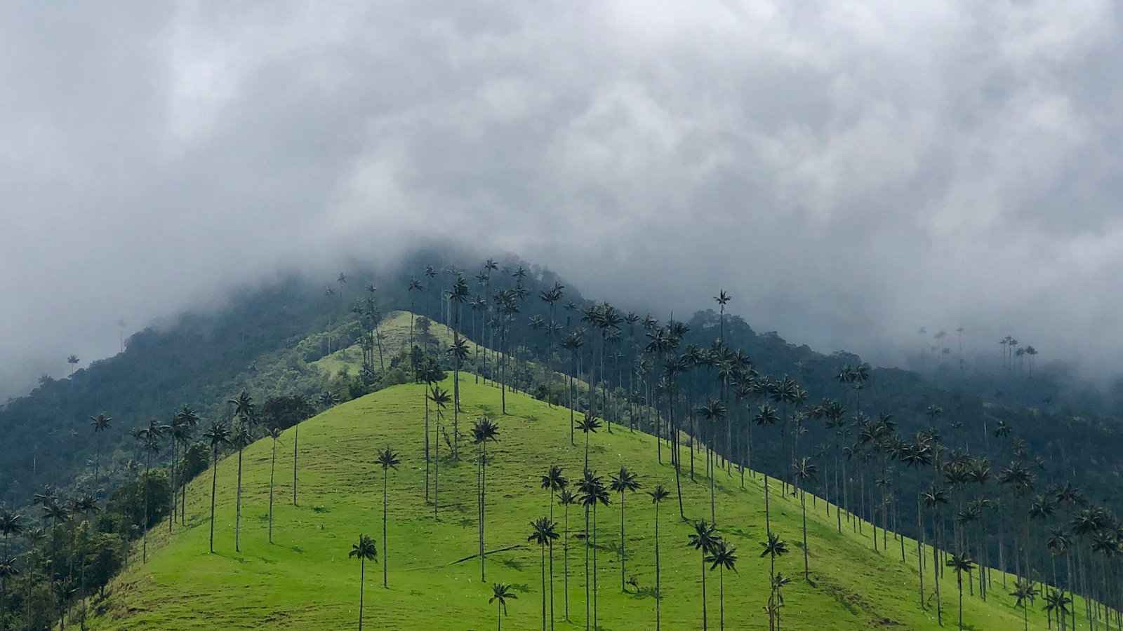 The cuisine of beautiful Colombia has been shaped by both colonizers and indigenous inhabitants