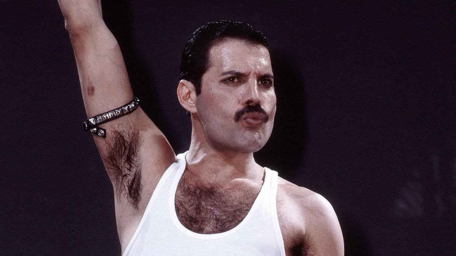 Freddie Mercury was the lead singer of Queen and a gay British icon