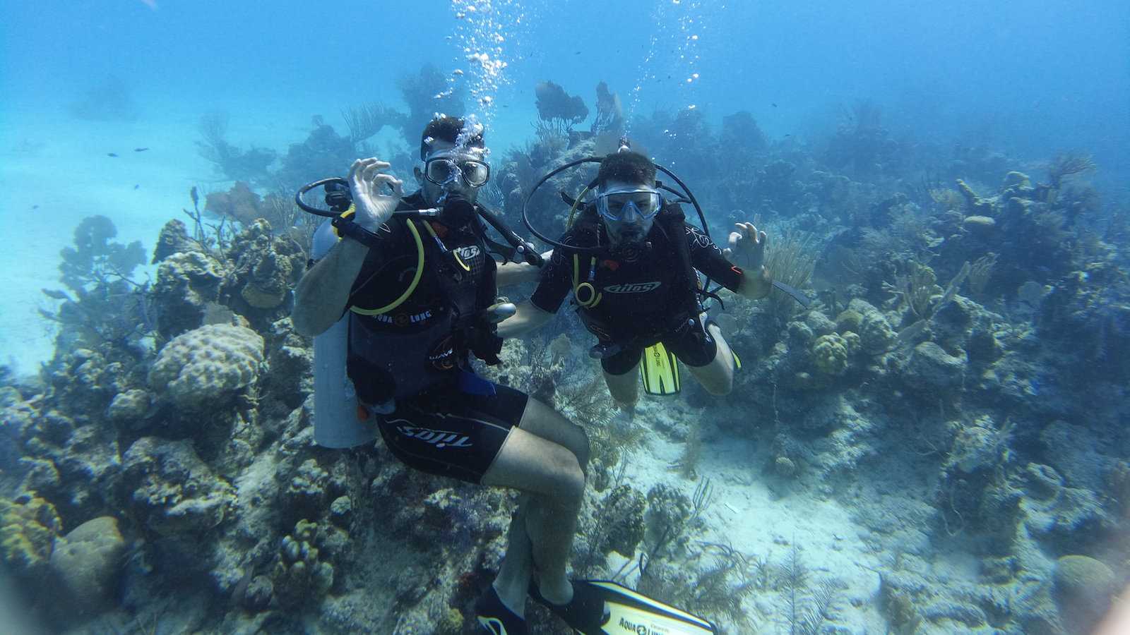 Having the time of our lives diving in the Caribbean on a gay liveaboard trip