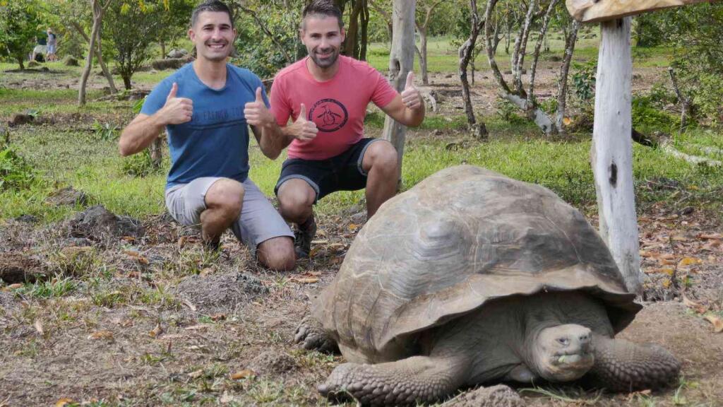 Galapagos biggest species of tortoise