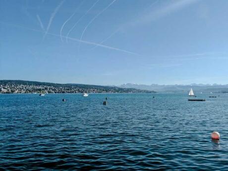 Lake Zurich is a fabulous spot for swimming or cycling right by the city