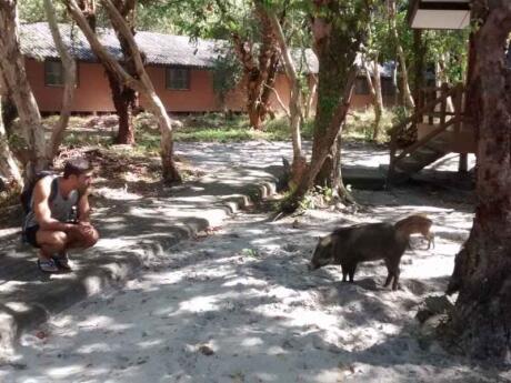 Ao Pante is one of two restaurants on Thailand's Koh Tarutao island