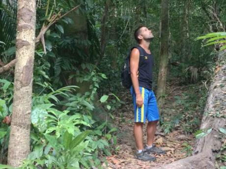 A fun thing to do on Koh Tarutao is hike through the jungle