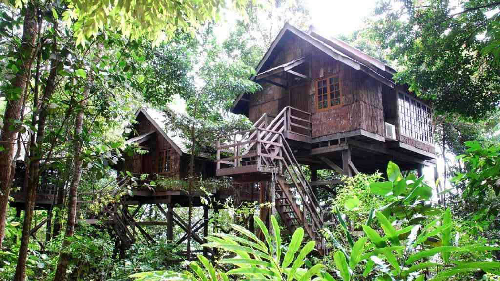 You can camp or sleep in treehouses during the Rainforest World Music Festival if you stay at the Permai Rainforest Resort