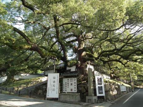 The Philosopher's Path in Kyoto is perfect for getting some exercise and contemplating life