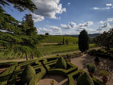 While you're in Florence make sure you take the opportunity to visit some Tuscan vineyards as well