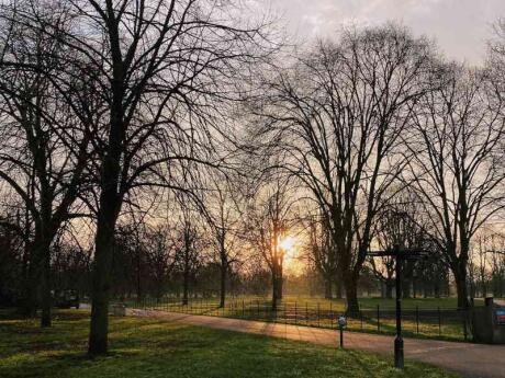 Clapham Common with the sunset view through the trees, another nice London park with a gay cruising area.