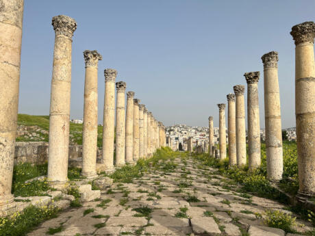 Ancient columns alongside an overgrown road with blue skies in the background from Jerash.